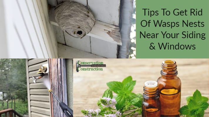 Tips To Get Rid Of Wasps Nests Near Your Siding Windows